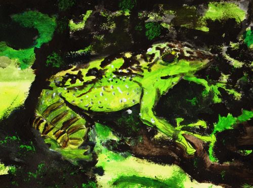 Nathan Kim, 12 years old, USA