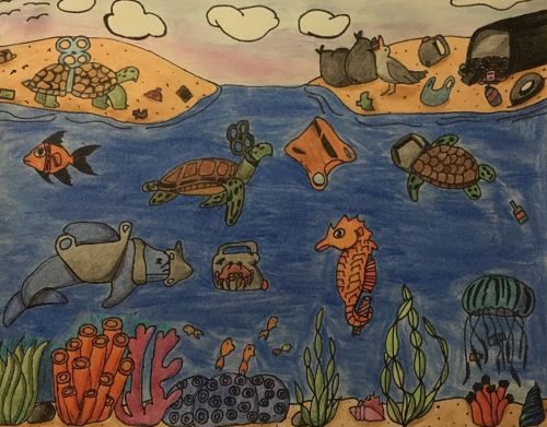 Salma Osman_13_USA, Jersey City, NJ, best JC 2020