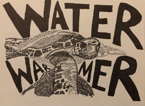 Towaha Chowdury, 14 yrs old, Liberty HS, Jersey City, USA, 2021