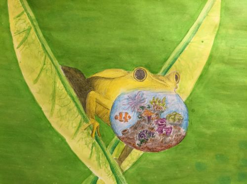 William Kim, 11 years old, USA