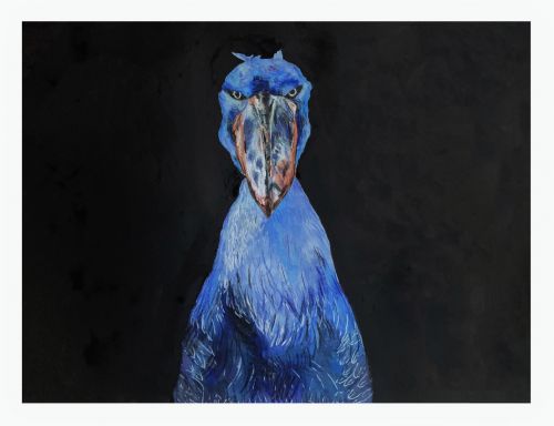 Xu Yitong, 7, China, The silence of the stork, 2021