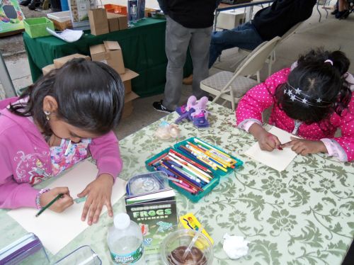 children-work-hard-on-frog-drawings