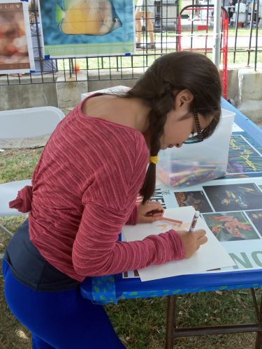 creating frog artworks at WPLIVE