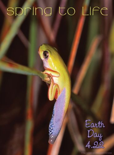 Spring to Life - Earth Day