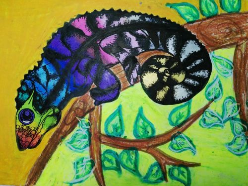 Elcin Sefer, 13 years old, Turkey