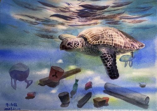 1st-Place-Best-China, Li Pellin, 12, China, Endangered marine animals, 2021