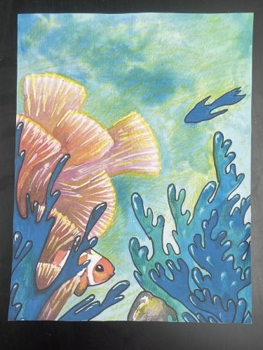 1st Place Alejandra Lainez Santos, 12 years old, Jersey City, NJ, USA 2024