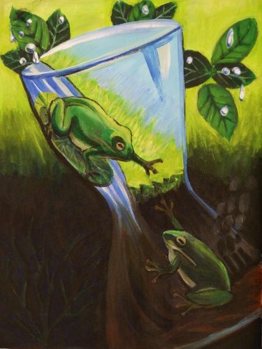 2-Annie Chang, 15, United States-best-environmental-2016