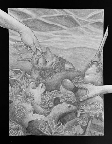 2nd Place Sean Choi, 13 years old, California, USA 2024