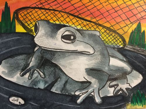 3-Daniel Myoung, 9 years old, USA