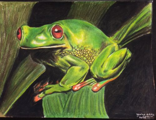 3-George-Azmy-17-yrs-old-JC-NJ-USA-Samuels