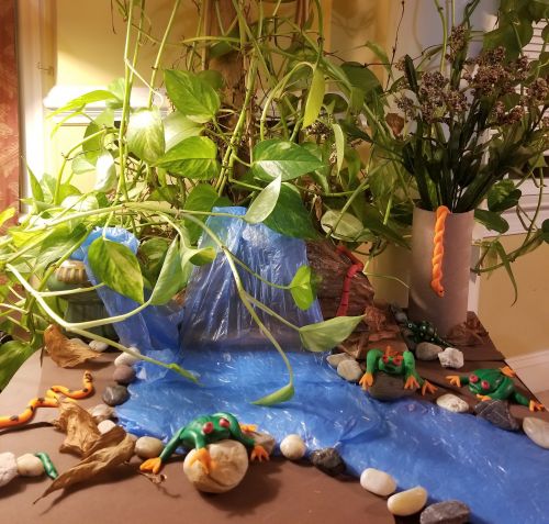 3D Rainforest Life by Vihaan Deshmukh, 7yrs, New Jersey USA