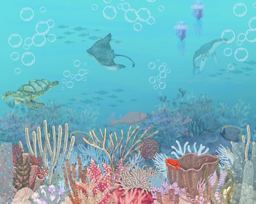 3rd Place, Mya Reynolds, 16 years old, Florida, USA, 2024