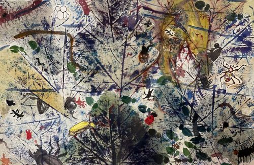 3rd-Place-Tang Mi, 7, China, Thin wing