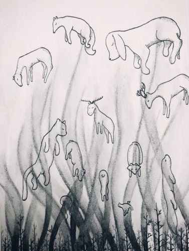 3rd place, Kyeongwon Lee, 15 years old, California, USA, 2019