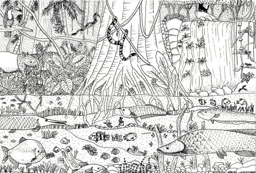 3rd-place, Setthasan Jirathanaprasert, age 13, Thailand