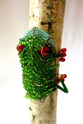 4-Toms Laugalis , 11 years old, Latvia, Tree frog