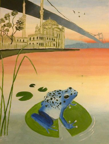 4th Place Winner, Rana Taki, Turkey, Frogs Are Green Kids Art Contest ages 10-12