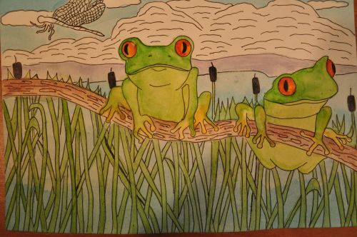 5-Parth Vora, 13-17 years old, JC, USA