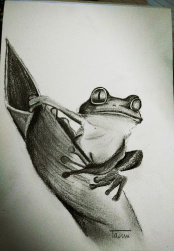 Tanvi Gadre, 13 years old, India