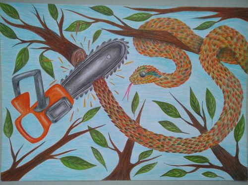 Alpieva Altynai, 14 yrs, Kazakhstan