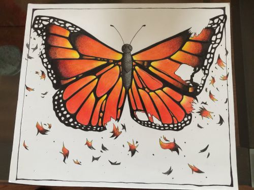 Aneurin Reyes, 12 years old, PS# 11, Jersey City, NJ, USA