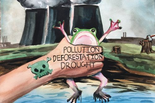 Colin Song, 14 Yrs Old, NJ, USA