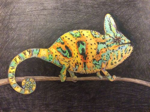 Dasha Nilova, 16 years old, Russia