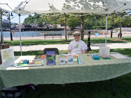 Frogs Are Green's table with books, Tshirts, promotional materials and space for children to draw.