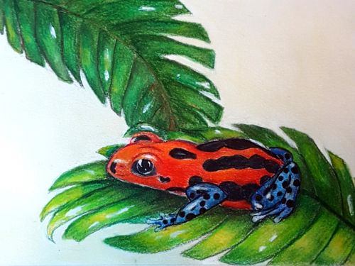 Grace Thomas, age 16, United States, 2019