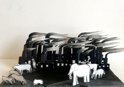 Kate Yeaseo Jeong,11 years old, CA, USA, 2019