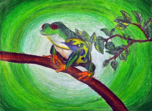 Honorable Mention, Nishat Poppy, New Jersey, USA, Frogs Are Green Kids Art Contest, Best of Jersey City