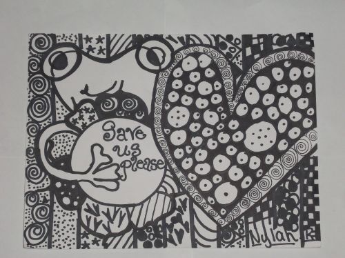 Nylah-Rosado-11-yrs-old-Wallace-School-Hoboken-NJ-USA-Teacher-Fusco