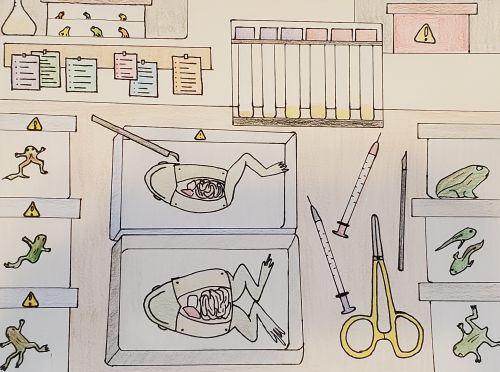 Sheleeza Haniff, 17 years old, Jersey City, NJ, USA, best jersey city 2020