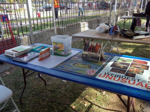 Frogs Are Green creativity table with markers, crayons, colored pencils,