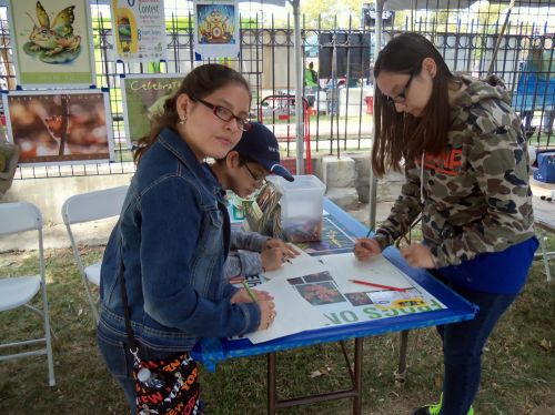 Drawing frogs in the park