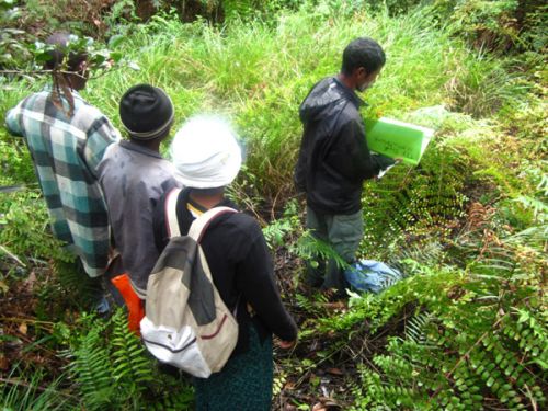 Mantella aurantiaca breeding site patrol at Torotorofotsy Wetland