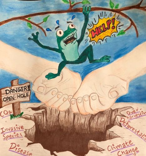 Ansh Gupta, 15 years old, Edison, New Jersey