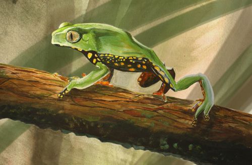 1-Ian Lee, 15yrs old, MA, USA