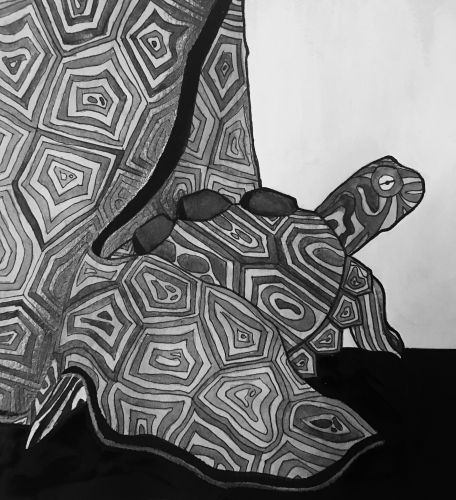 Giwoo Kim, 14 years old, California, USA