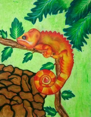 1st Place, Eylem-Konuklar, 11 yrs old, Turkey