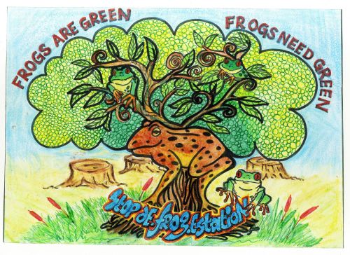 1st Place Winner, Afreen Kapoor, India, Frogs Are Green Kids Art Contest, Best Typography