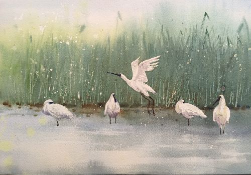 1st place, Jiang Qinghan, 13 years old, China, Dancing on water, 2023