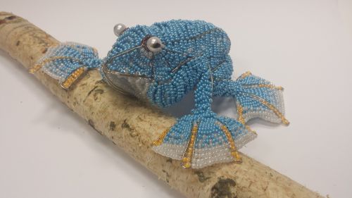 Paula Nataniela Roba, 15 year old, Latvia, Wallace flying frog