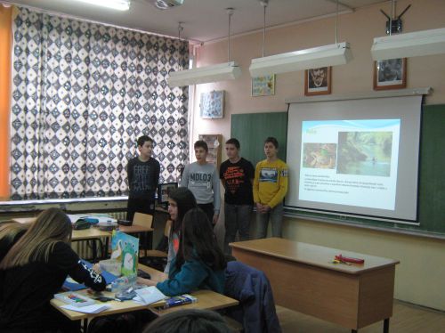 Serbia students learn about frogs and create art for Frogs Are Green Contests 2017