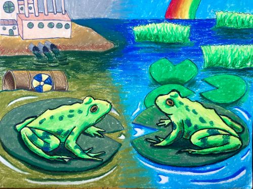 1-Jonathan Qi, 12 years old, USA