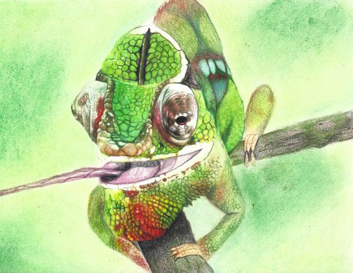 Yanbo Feng, age 14, United States, Michigan, USA