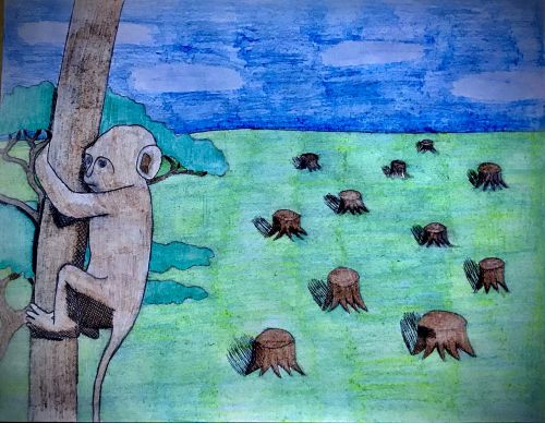 1st Place, Phat Nguyen 16, LIBERTY HS, Jersey City, NJ, USA, best Jersey City 2020