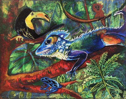 1st-place, Andrew Tao, 12 years old, Canada