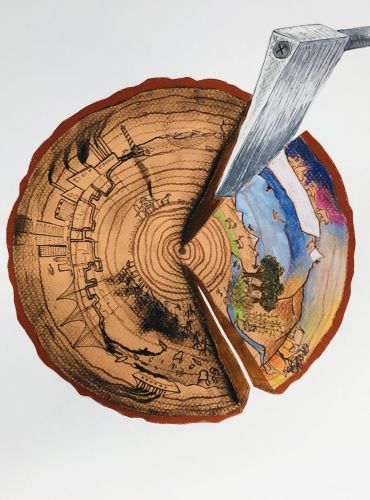 1st place, Daniel Lee, 16 years old, CA, USA, environmental 2021, Cut Out The Harmful